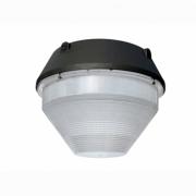 60W Cone LED CANOPY LIGHTS WITH DLC LISTING